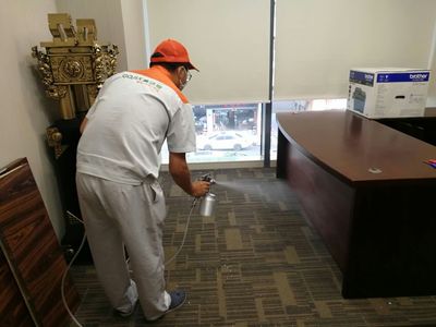 高效除甲醛實戰案例解析