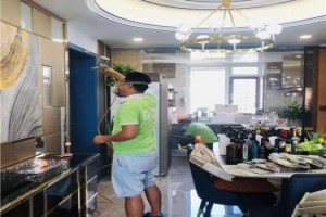 鐵嶺除甲醛 守護健康家居，科學治理刻不容緩